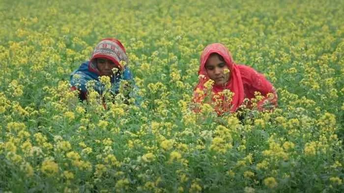 নারী ভোটারদের মধ্যে সচেতনতা বাড়াতে বিশেষ টিভিসি প্রকাশ- খবরের থাম্বনেইল ফটো