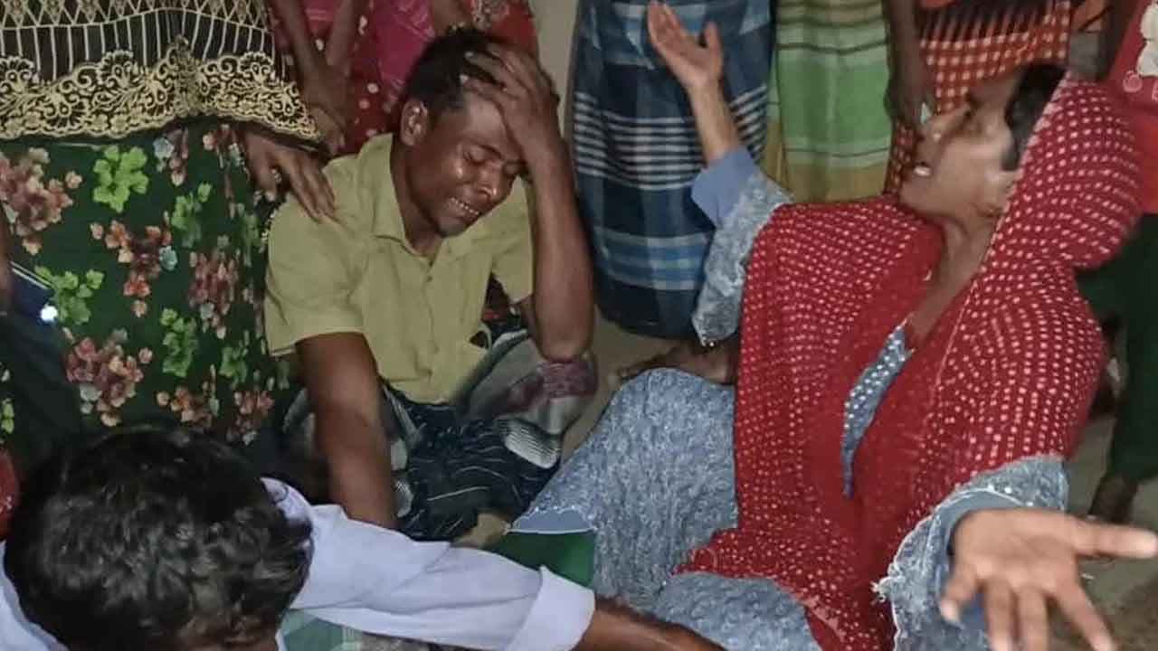 গলায় লিচুর বিচি আটকে শিশুর মৃত্যু- খবরের ইমেজ Image