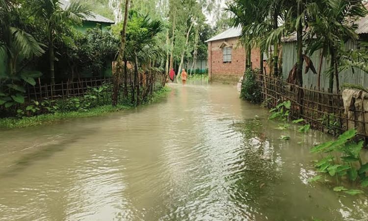 তিস্তার পানি বিপৎসীমার ওপরে, চরাঞ্চলে ৬ হাজার মানুষ পানিবন্দী- খবরের ইমেজ Image