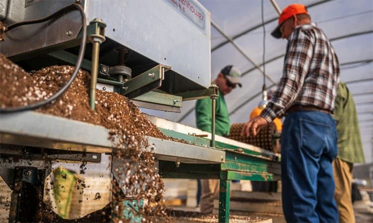 মধ্যপ্রাচ্য যুদ্ধের প্রভাবে ভারতে সার উৎপাদন কমেছে প্রায় এক-চতুর্থাংশ- খবরের থাম্বনেইল ফটো