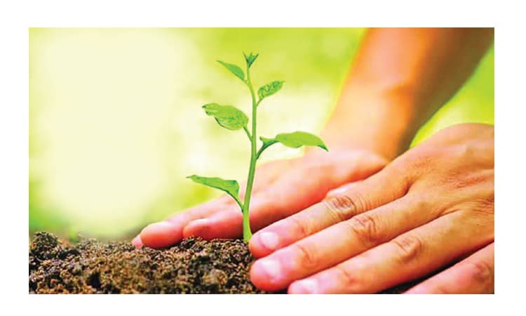 পাঁচ বছরে ২৫ কোটি বৃক্ষরোপণ কর্মসূচিতে স্বেচ্ছাসেবী অংশীদারিত্বের আহ্বান- খবরের ইমেজ Image