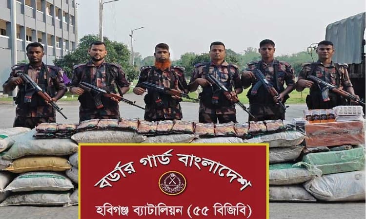 হবিগঞ্জের মাধবপুরে অভিযান চালিয়ে বিপুল পরিমাণ ভারতীয় ওষুধ জব্দ করেছে বিজিবি- খবরের ইমেজ Image