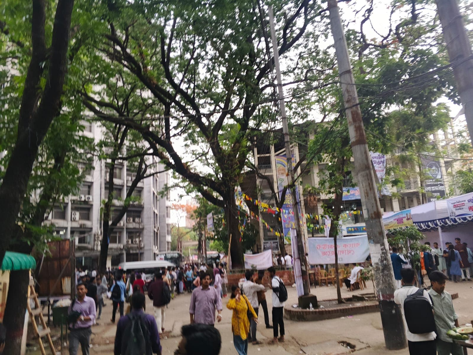 নবীন জবিয়ানদের পদযাত্রায় মুখরিত ক্যাম্পাস- খবরের থাম্বনেইল ফটো