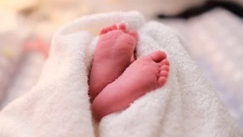 প্যাকেটে মিলল ২ দিন বয়সী নবজাতক, চমেকে মৃত্যু- খবরের থাম্বনেইল ফটো