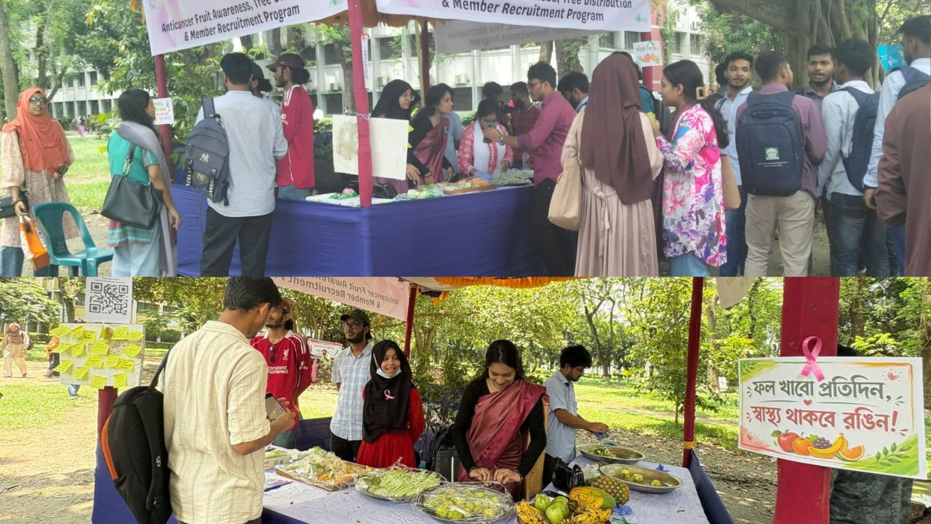 ক্যান্সার সচেতনতায় ইবি সিসিআরটিবি’র অ্যান্টিক্যান্সার ফল বিতরণ কর্মসূচি- খবরের ইমেজ Image
