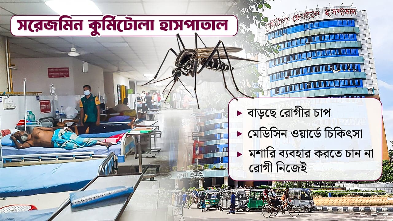প্রতিদিনই বাড়ছে রোগী, মশারি থাকলেও ব্যবহার করেন না রোগী! image