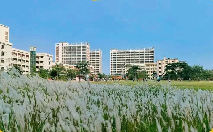 'ঘাস ফুলের সাজে সেজেছে পাবিপ্রবি, মুগ্ধতা ছড়াচ্ছে সাদা মেঘের দল'- খবরের ইমেজ Image