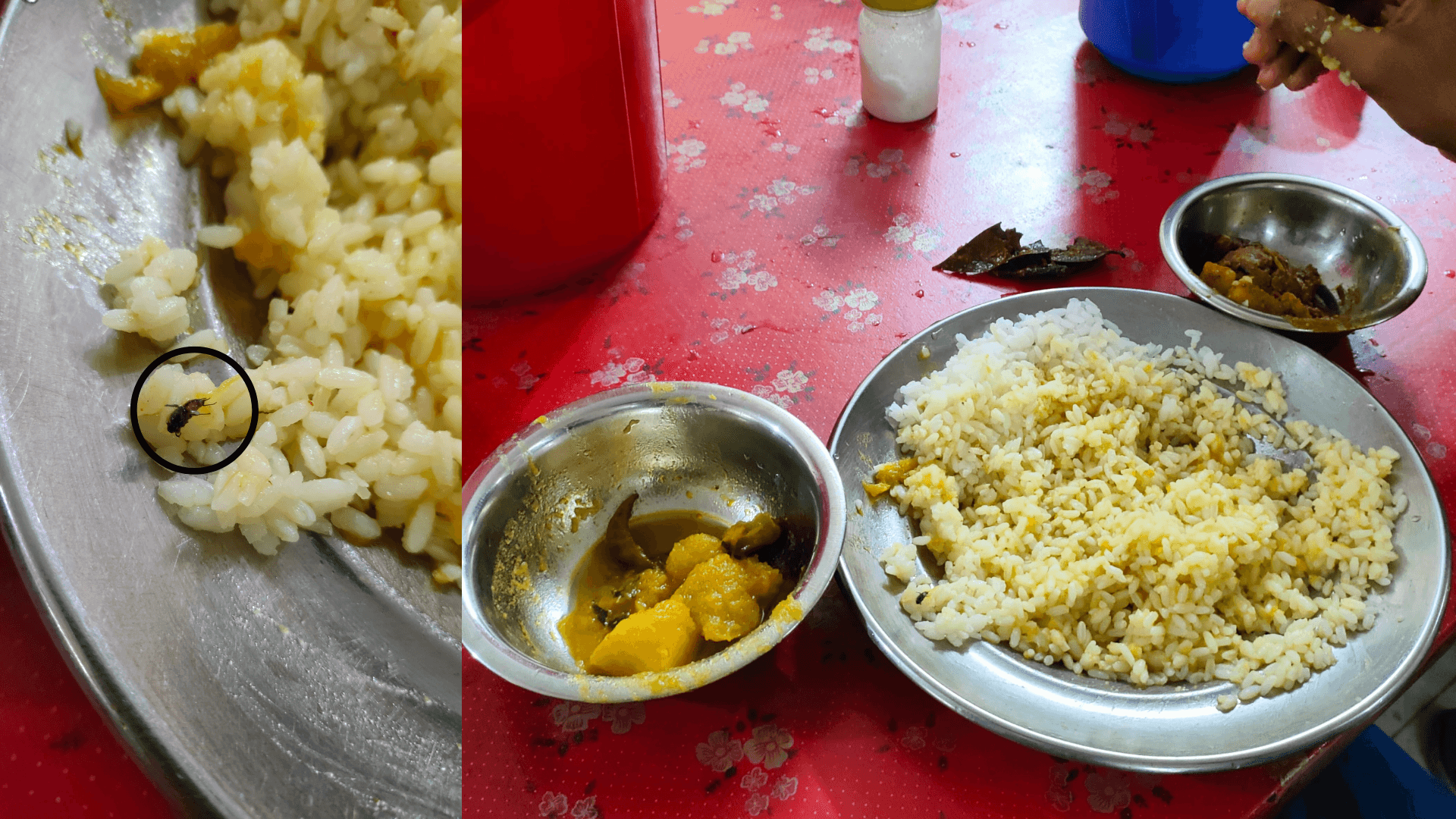 চবিতে ডাইনিংয়ে খাবারে মাছি, শিক্ষার্থীদের মধ্যে ক্ষোভের আগুন- খবরের থাম্বনেইল ফটো