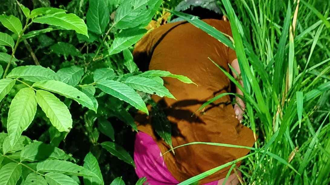 চৌদ্দগ্রাম সীমান্তে নো ম্যানস ল্যান্ড থেকে নারীর মরদেহ উদ্ধার- খবরের ইমেজ Image