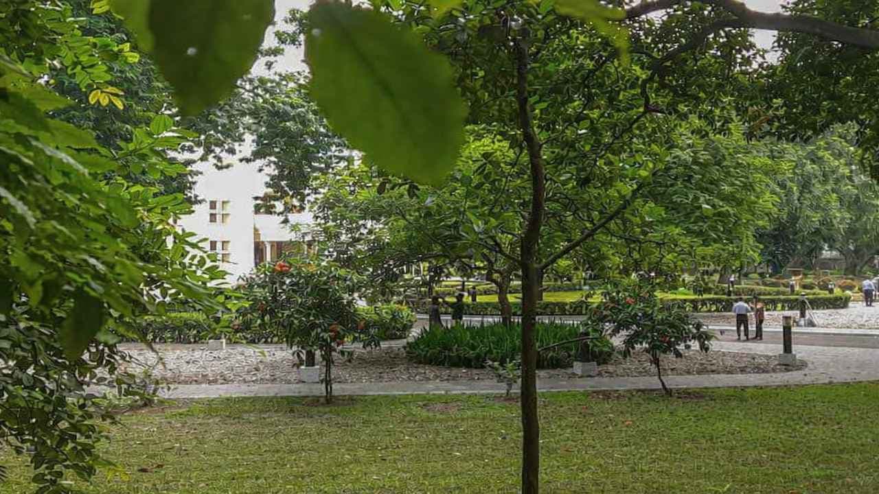 যমুনায় উঠছেন না প্রধানমন্ত্রী তারেক রহমান- খবরের ইমেজ Image