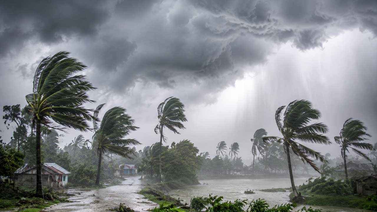 সুস্পষ্ট লঘুচাপ, টানা পাঁচ দিন বৃষ্টির পূর্বাভাস- খবরের থাম্বনেইল ফটো