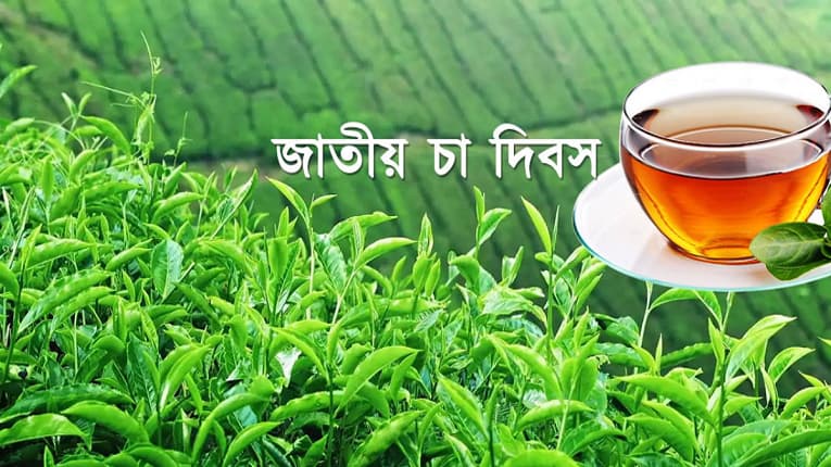 শ্রীমঙ্গলে অনুষ্ঠিত হবে জাতীয় চা দিবসের অনুষ্ঠান- খবরের থাম্বনেইল ফটো