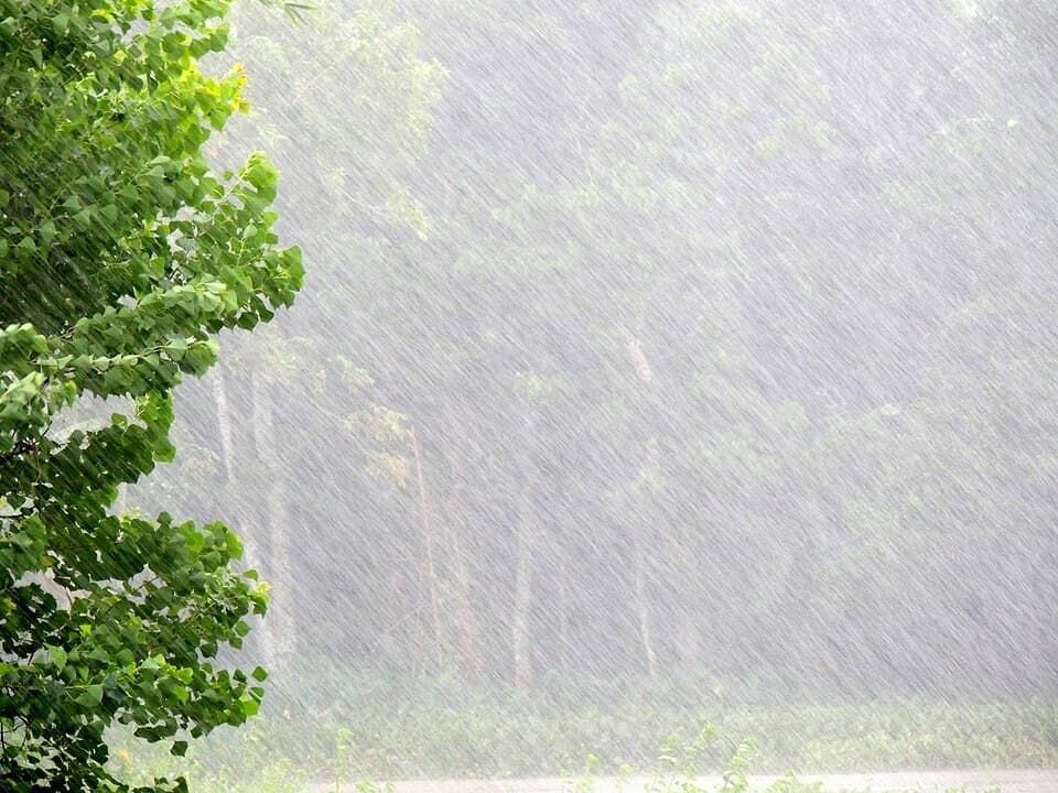 ঈদের দিন সারাদেশে কালবৈশাখীসহ ঝড়বৃৃষ্টির সম্ভাবনা- খবরের ইমেজ Image