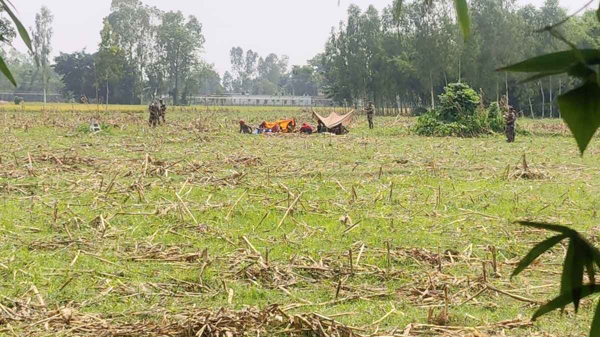 ৪৮ ঘণ্টা পর ঠাকুরগাঁও সীমান্তের শূন্যরেখা থেকে ১১ জনকে সরাল বিএসএফ- খবরের ইমেজ Image