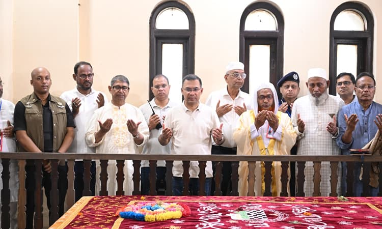 মওলানা আবদুল হামিদ খান ভাসানীর কবর জিয়ারত করলেন প্রধানমন্ত্রী- খবরের থাম্বনেইল ফটো