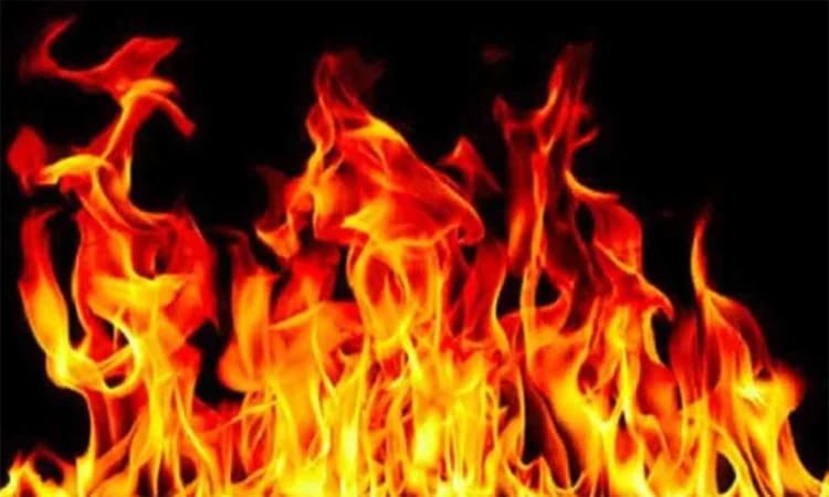 ইউক্রেনের হামলায় রাশিয়ার অনলাইন খুচরা প্রতিষ্ঠানের গুদামে আগুন- খবরের ইমেজ Image