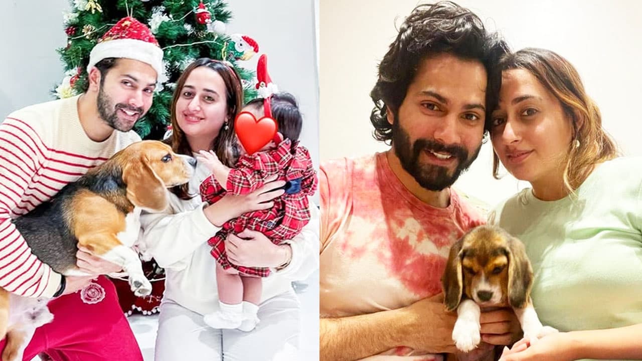 কন্যাশিশু লারা নয়, বরুণের প্রথম সন্তান পোষা কুকুর!