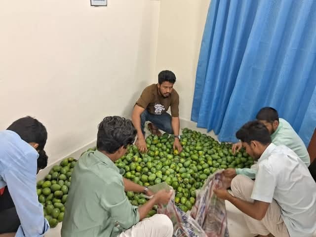 রাবিতে লিচুর পর এবার আম পৌঁছে দিলেন হল সংসদের নেতারা- খবরের থাম্বনেইল ফটো