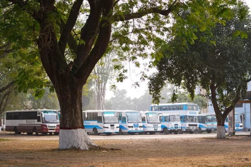 ঈদযাত্রায় শিক্ষার্থীদের জন্য বাস সুবিধা দিতে ব্যর্থ রাবি প্রশাসন; শিক্ষার্থীদের ক্ষোভ - খবরের ইমেজ Image