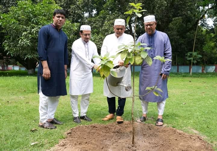 বিশ্ব পরিবেশ দিবসে রাবি উপাচার্যের বৃক্ষরোপণ: ১০ হাজার বৃক্ষরোপণের অঙ্গিকার - খবরের থাম্বনেইল ফটো