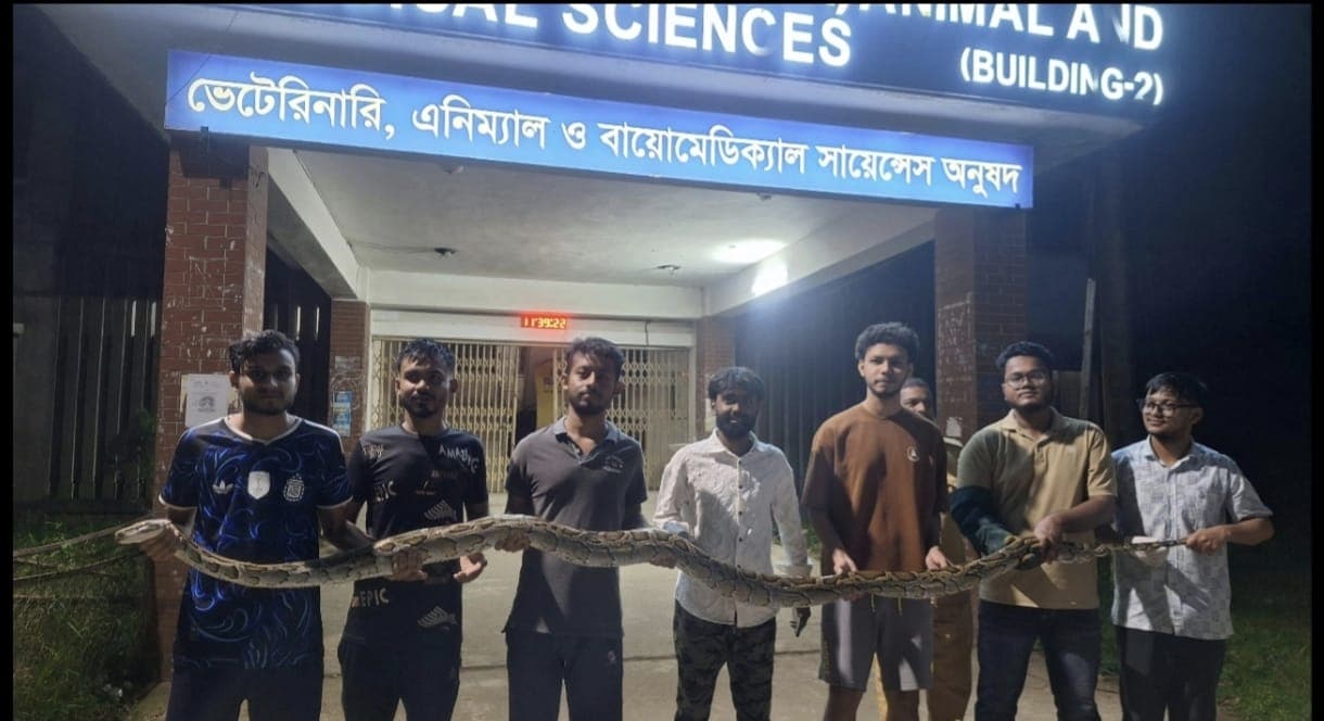 সিলেট কৃষি বিশ্ববিদ্যালয় সংলগ্ন এলাকা থেকে ১২ ফুট লম্বা অজগর উদ্ধার- খবরের ইমেজ Image