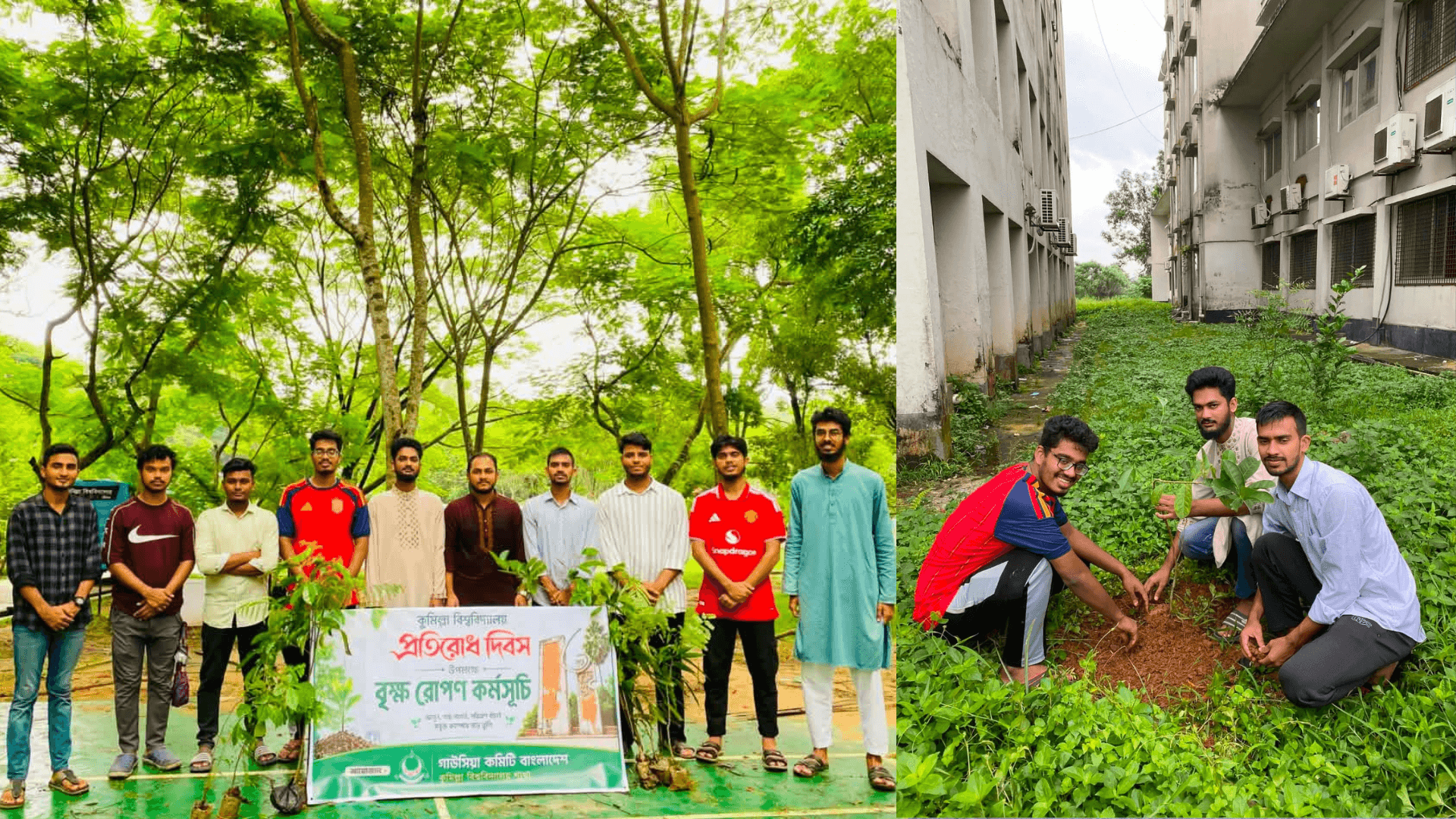 কুবিতে গাউসিয়া কমিটির বৃক্ষরোপণ ও চারা বিতরণ কর্মসূচি - খবরের ইমেজ Image