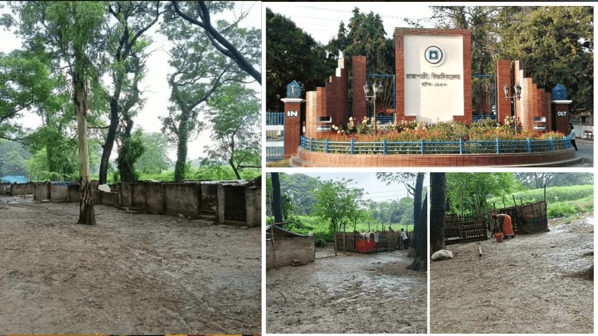 রাবি হরিজন পল্লীতে বাণিজ্যিকভাবে শূকর পালন ; দূর্গন্ধে অতিষ্ট হাজারও মানুষ- খবরের ইমেজ Image